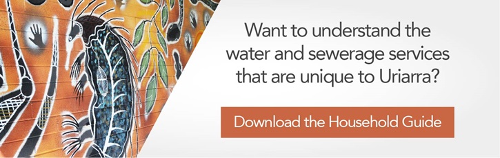 Want to understand the water and sewerage services that are unique to Uriarra? Download the household guide.