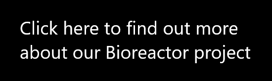 Click here to find out more about our bioreactor project