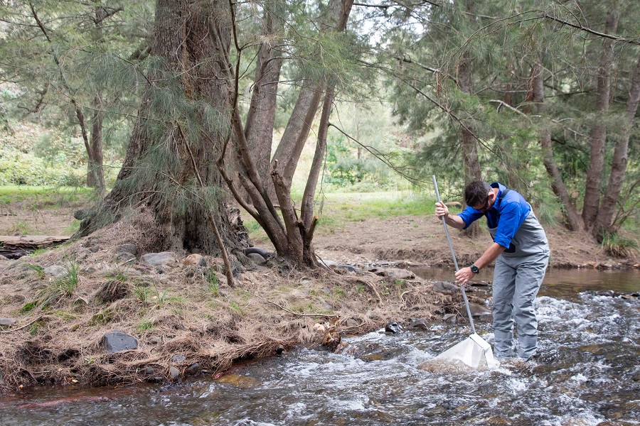 Below dams monitoring