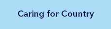 caring for country button