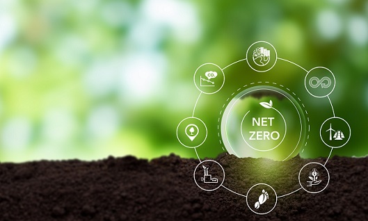 net zero