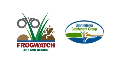 Frogwatch