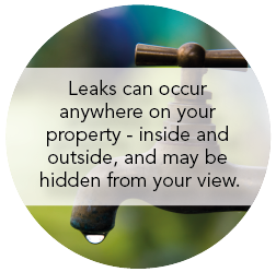 leaks